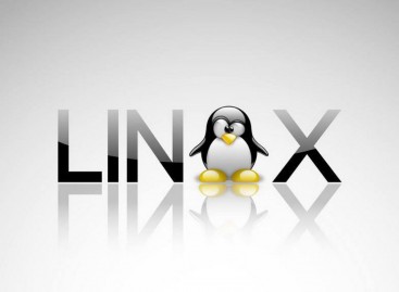 Linux İşletim Sisteminde Terminal Üzerinden Diğer Kullanıcıların Ekranına Bağlantı Sağlama